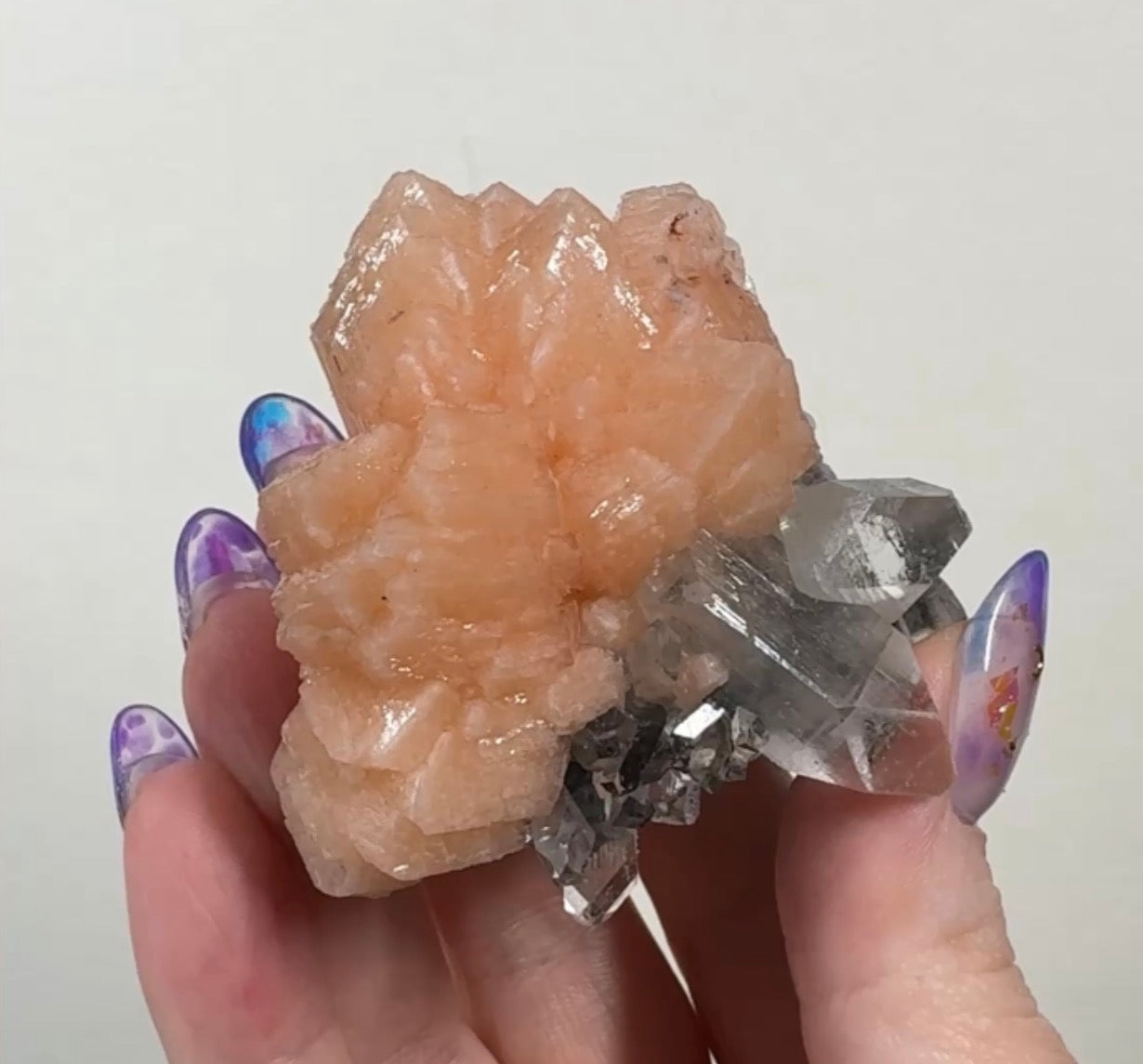 Stilbite & Diamond Apophyllite Flower on Black Chalcedony | SFL