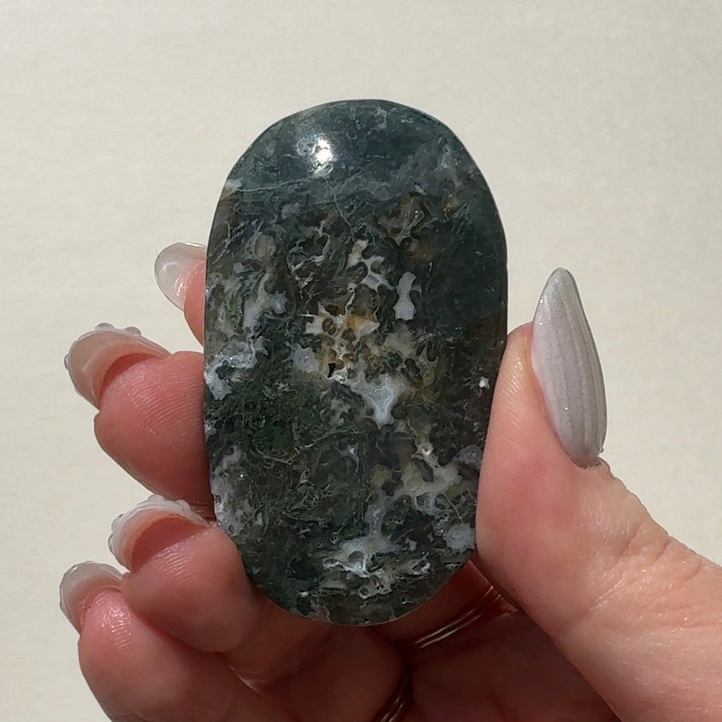 Moss Agate Palmstone | D