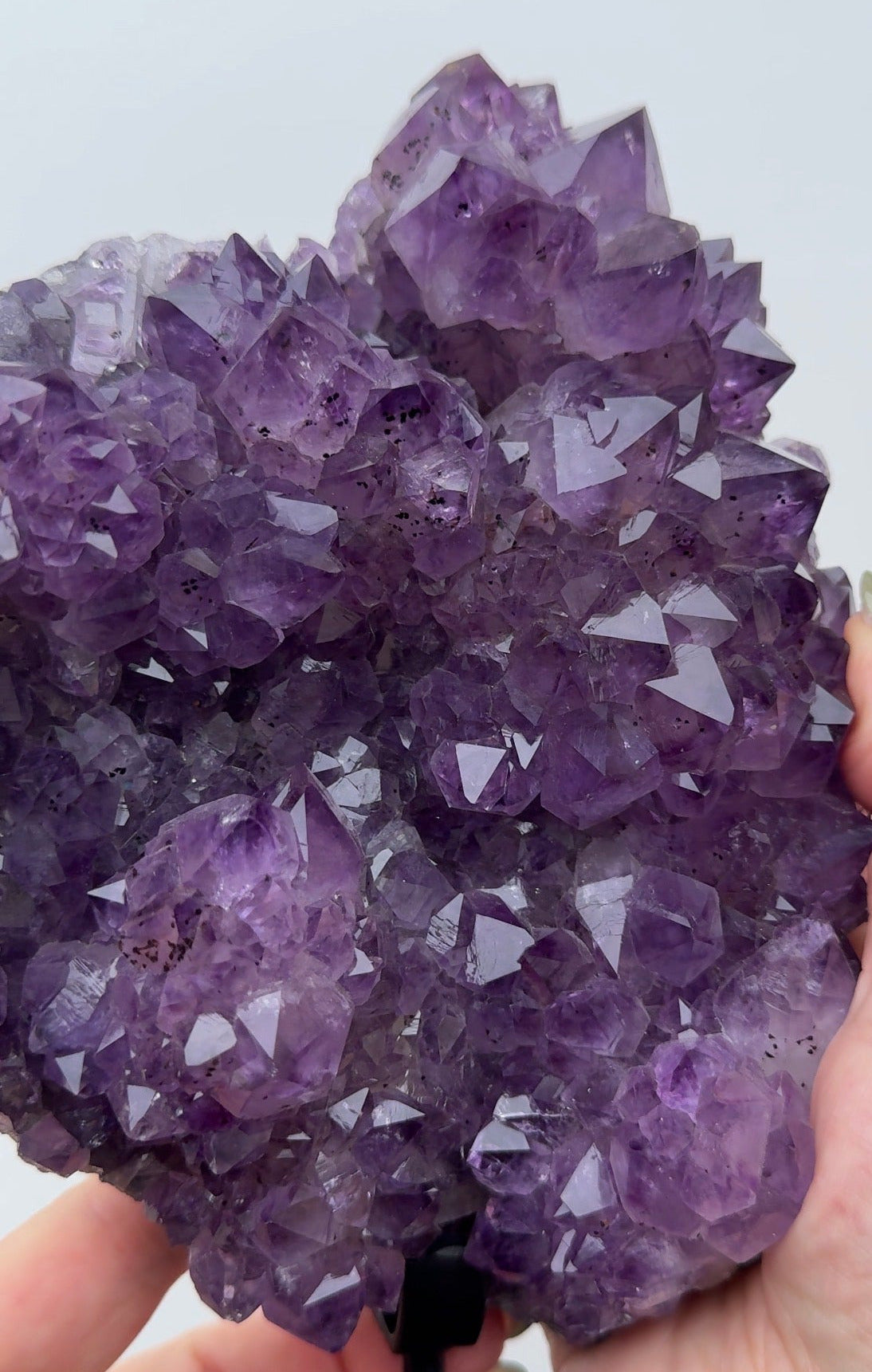 XL Purple Amethyst on stand