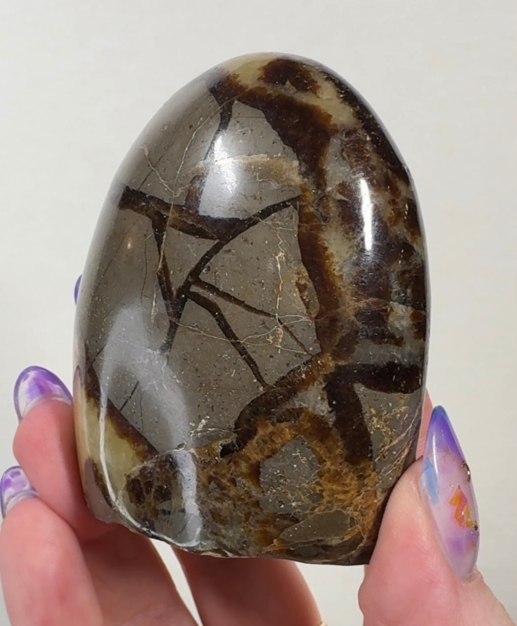 Septarian Cutbase | SEP5