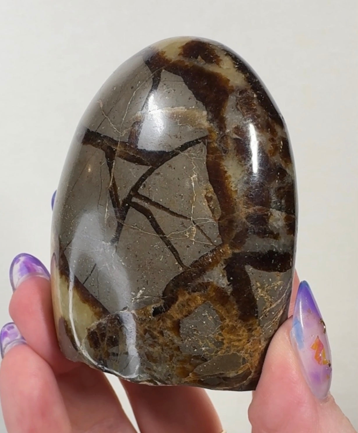 Septarian Cutbase | SEP5