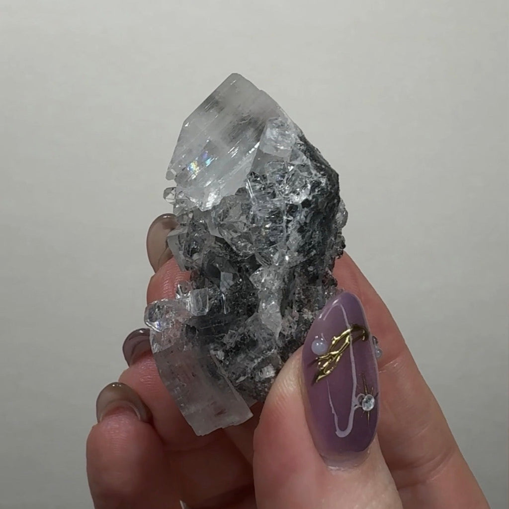 Diamond Apophyllite on Black Chalcedony