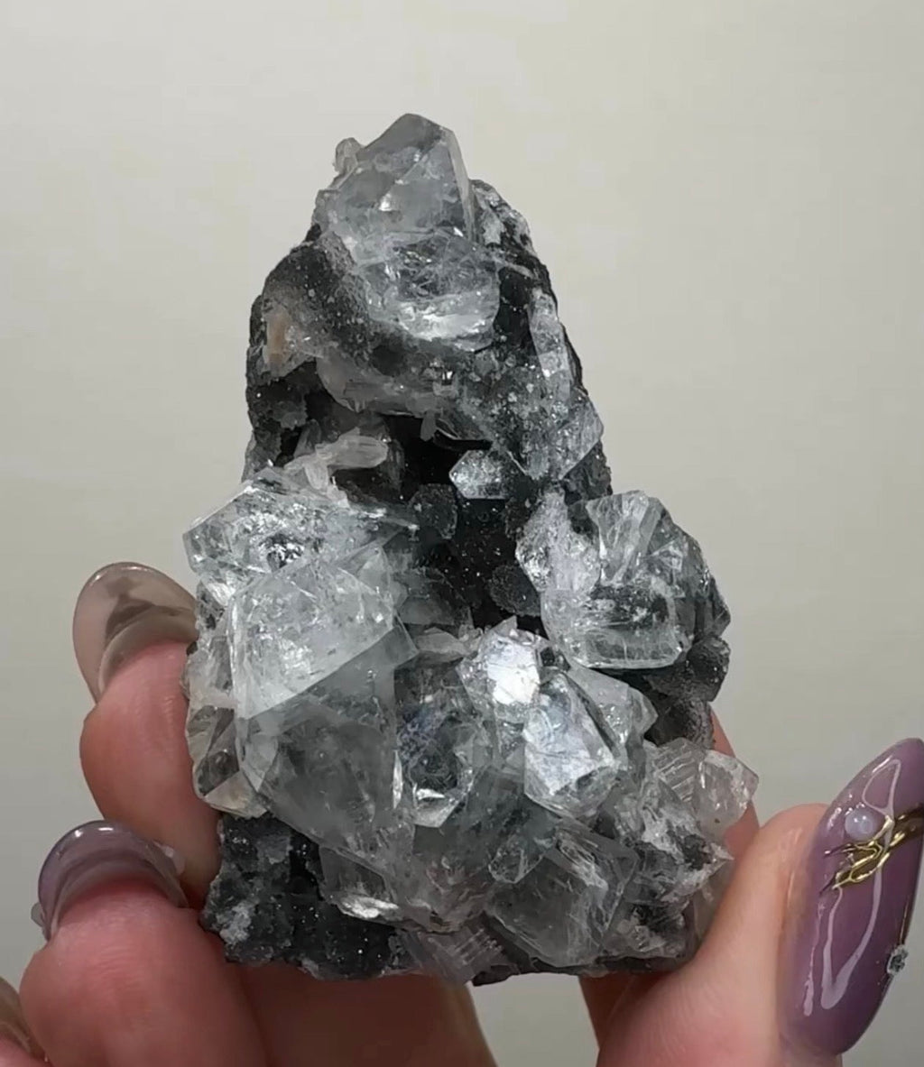 Diamond Apophyllite on Black Chalcedony