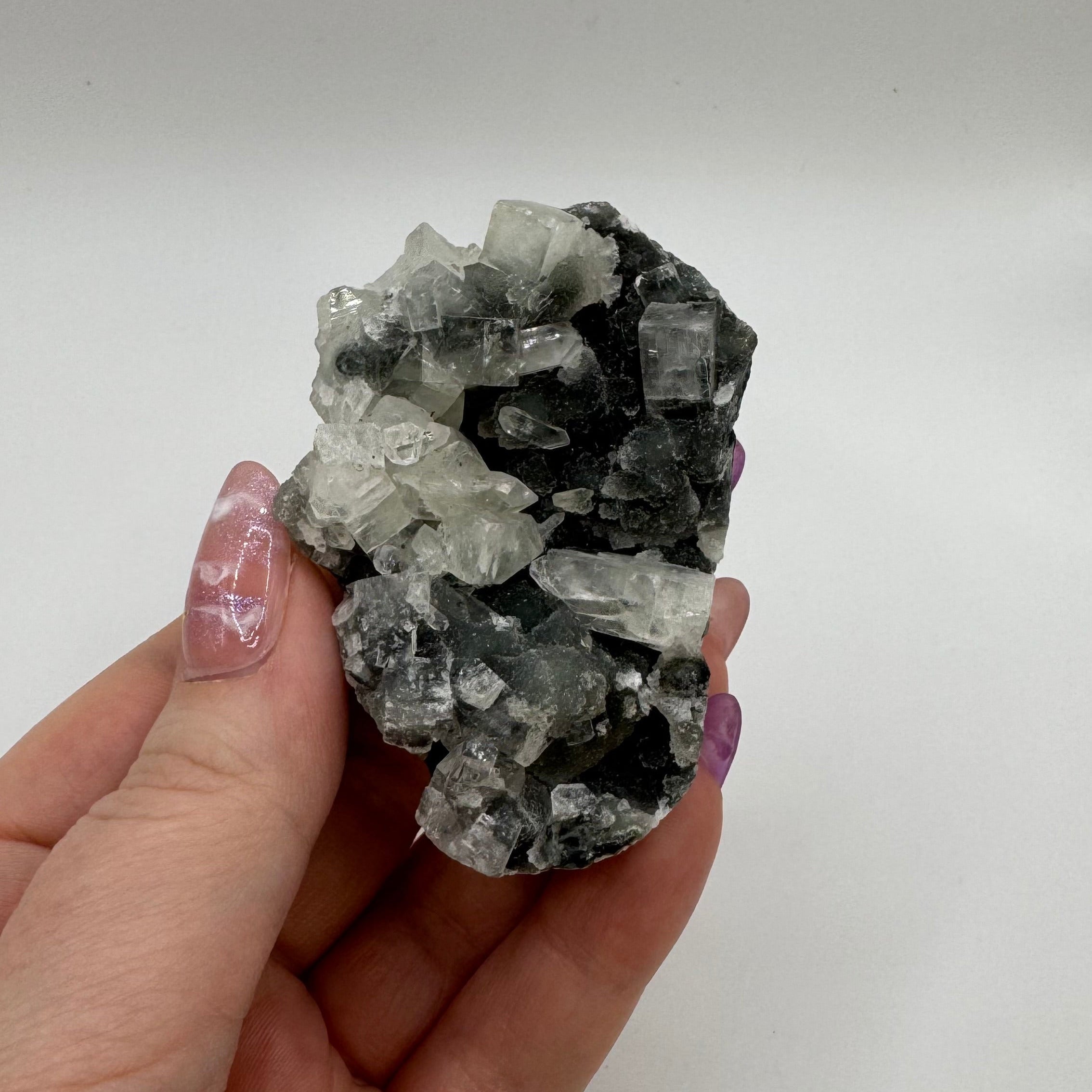 Black Chalcedony with Apophyllite