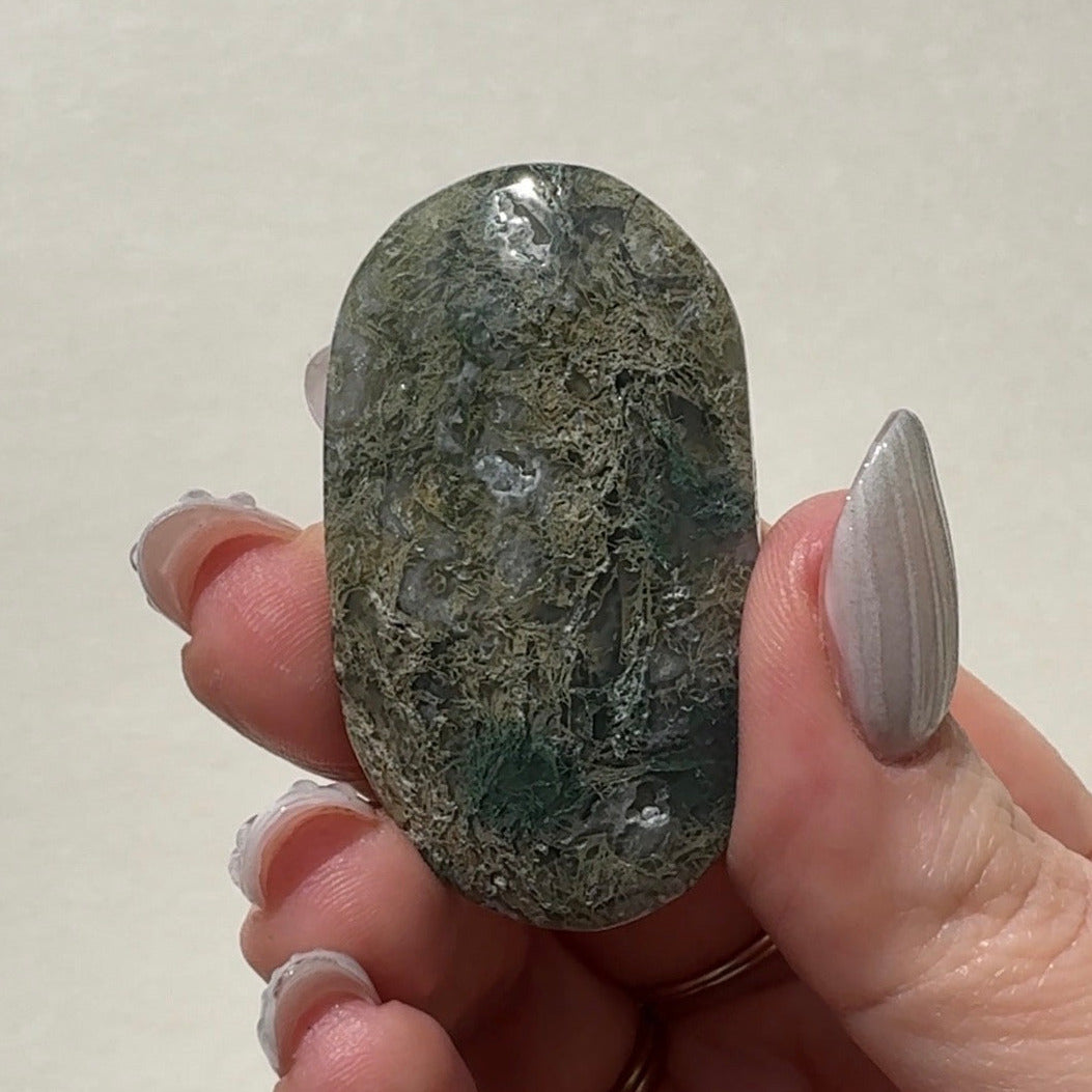 Moss Agate Palmstone | G