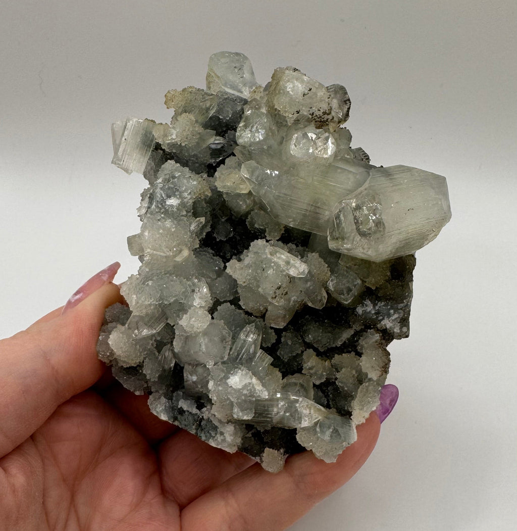 Black Chalcedony with Apophyllite