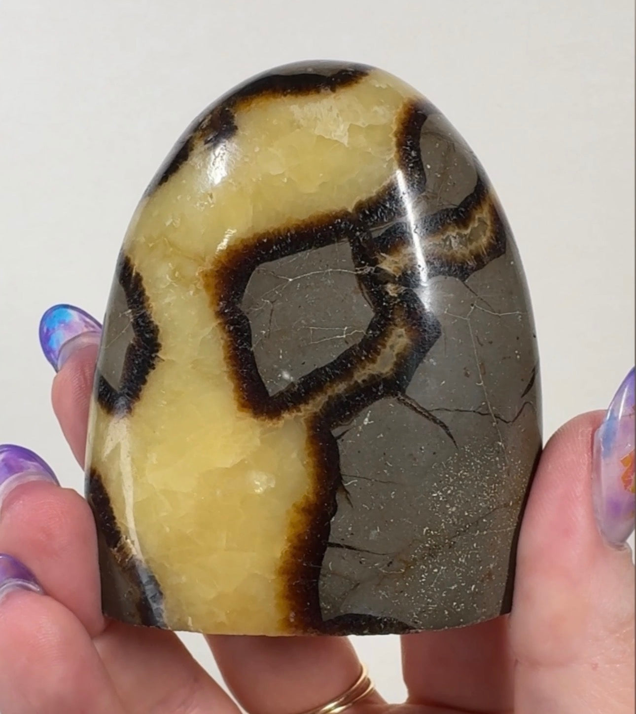 Septarian Cutbase | SEP4