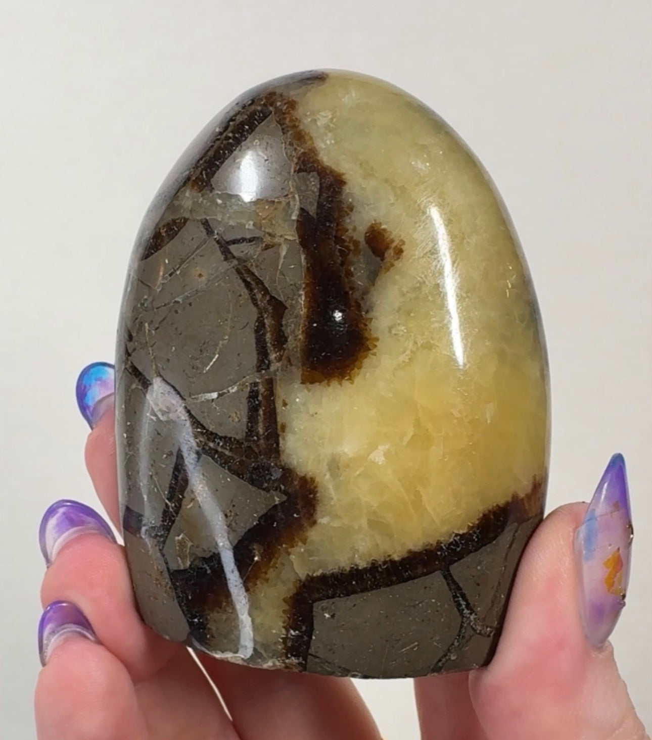 Septarian Cutbase | SEP5