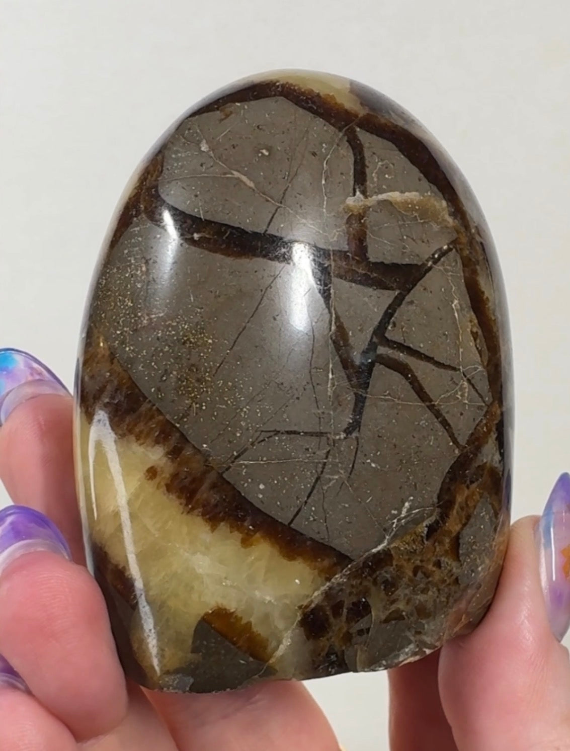 Septarian Cutbase | SEP5