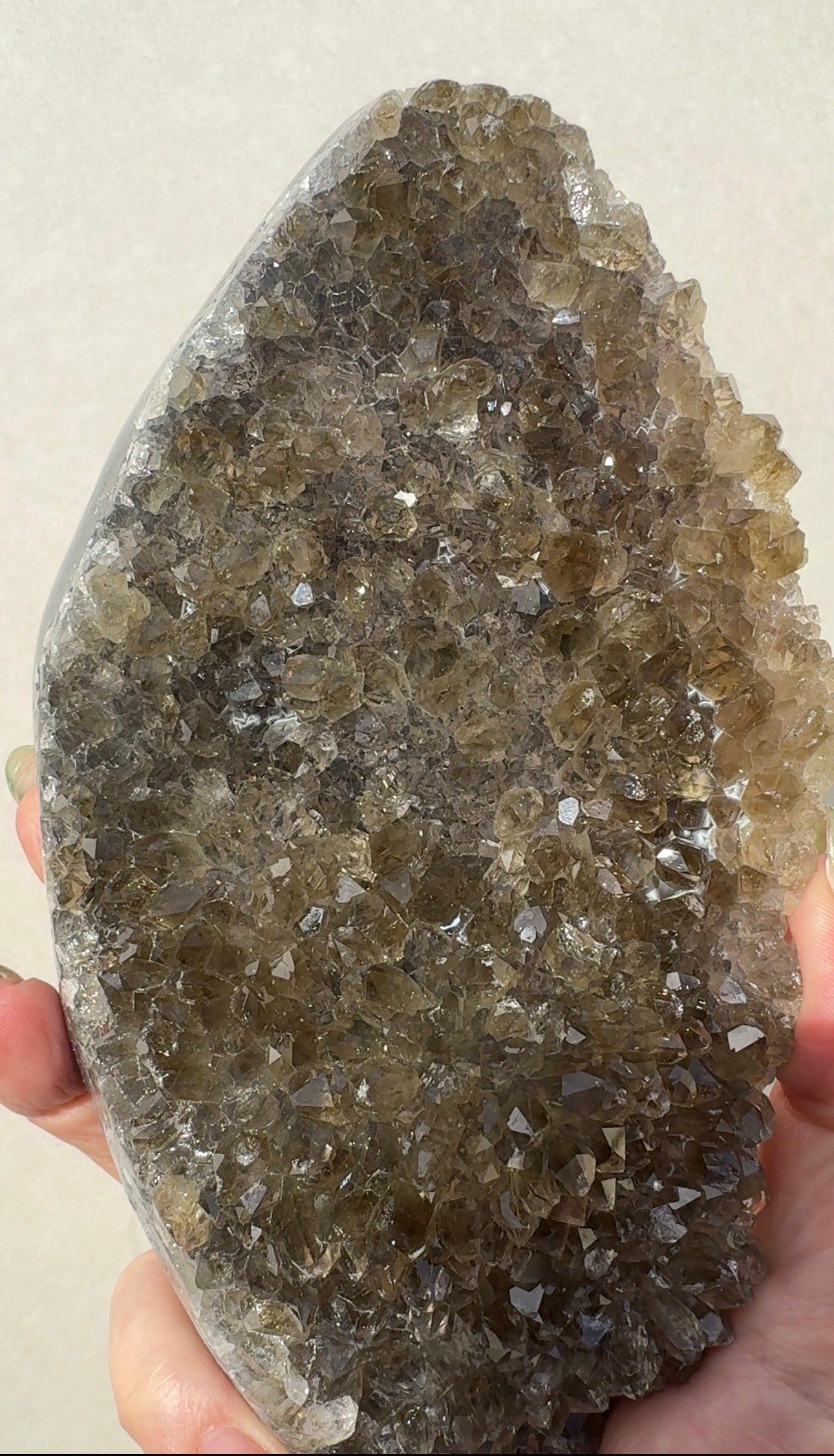 Green Prasiolite Freeform