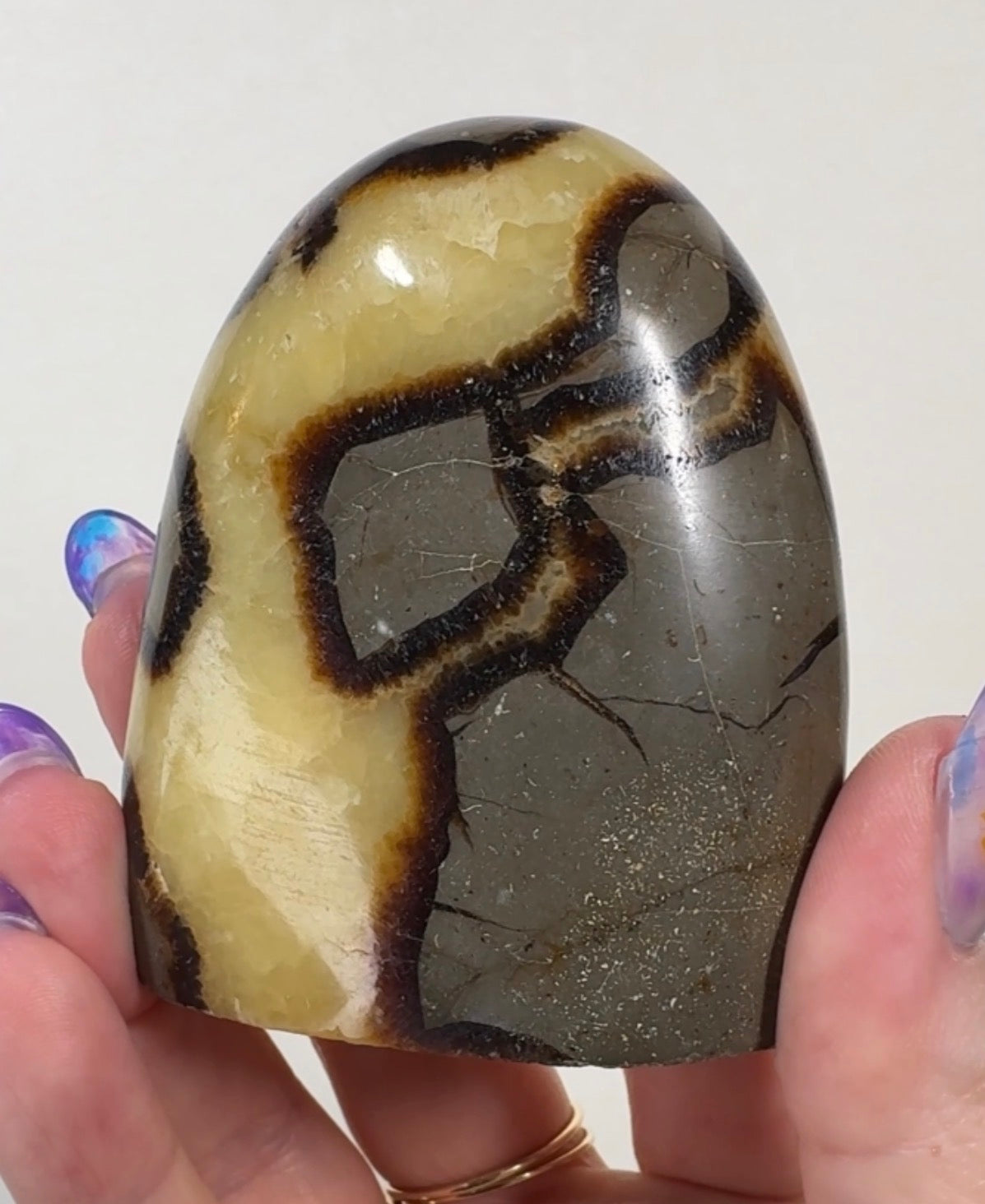 Septarian Cutbase | SEP4