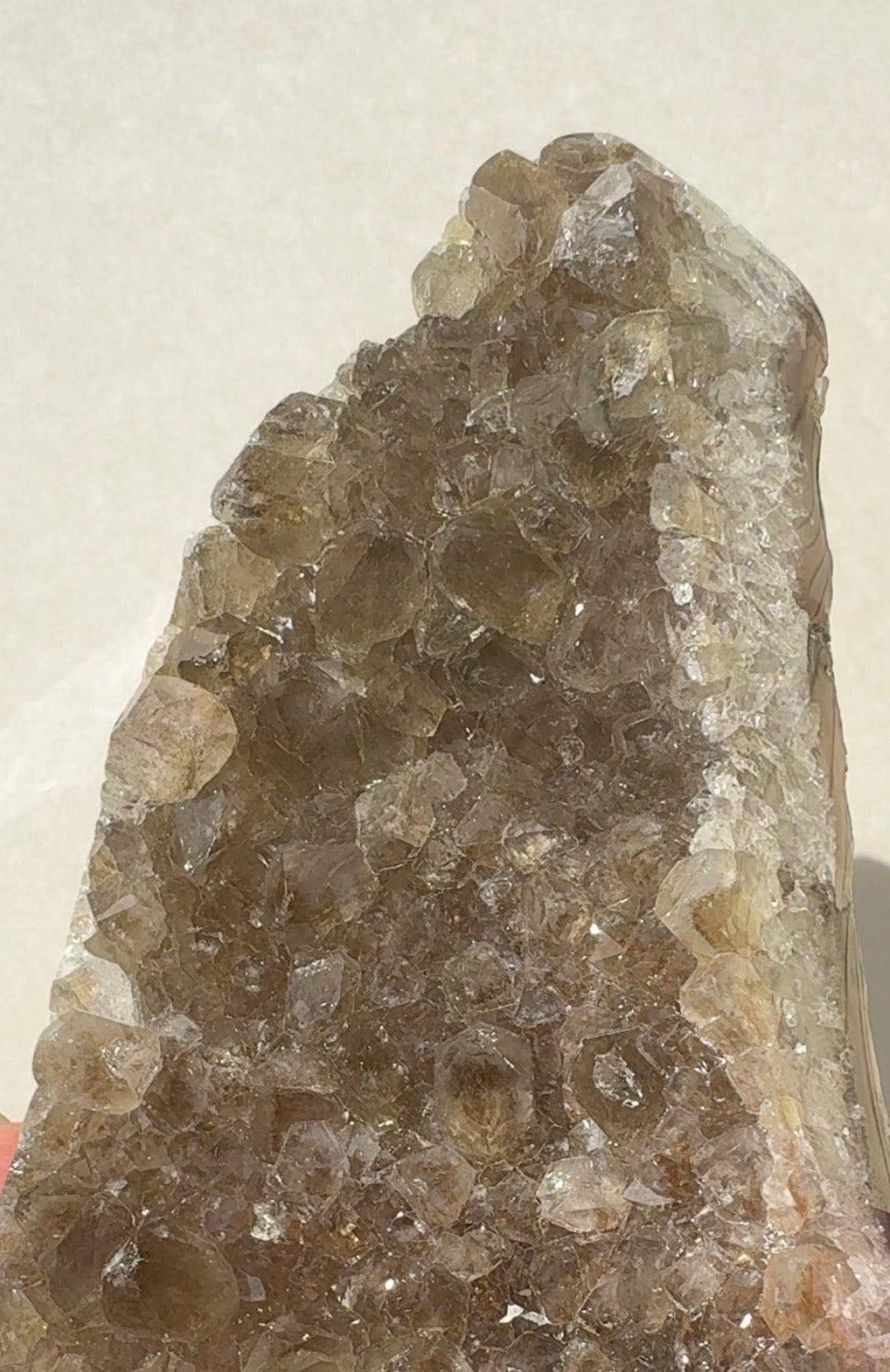 Green Prasiolite Freeform