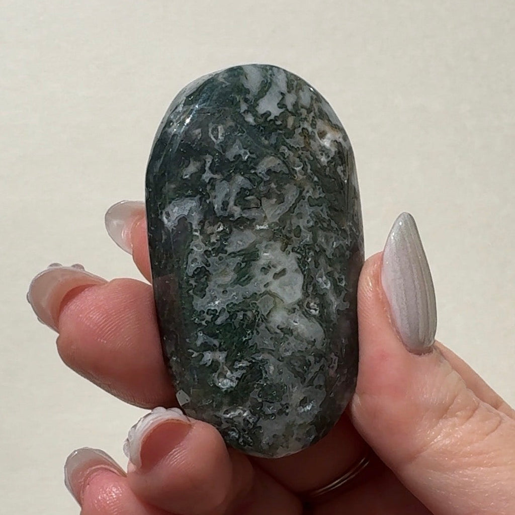 Moss Agate Palmstone | D