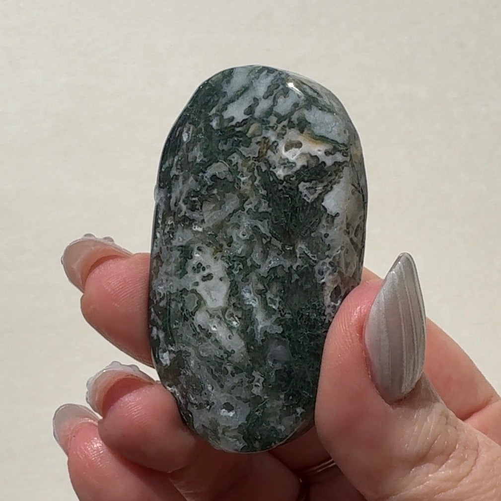 Moss Agate Palmstone | D