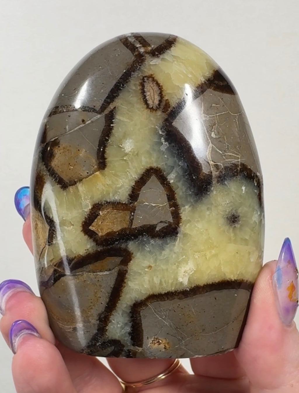 Septarian Cutbase | SEP