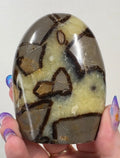 Septarian Cutbase | SEP