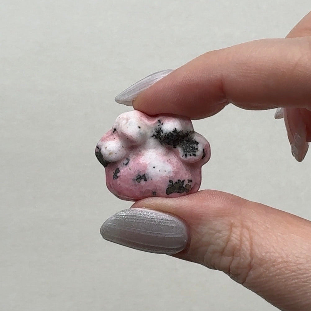Peruvian Rhodonite Paws