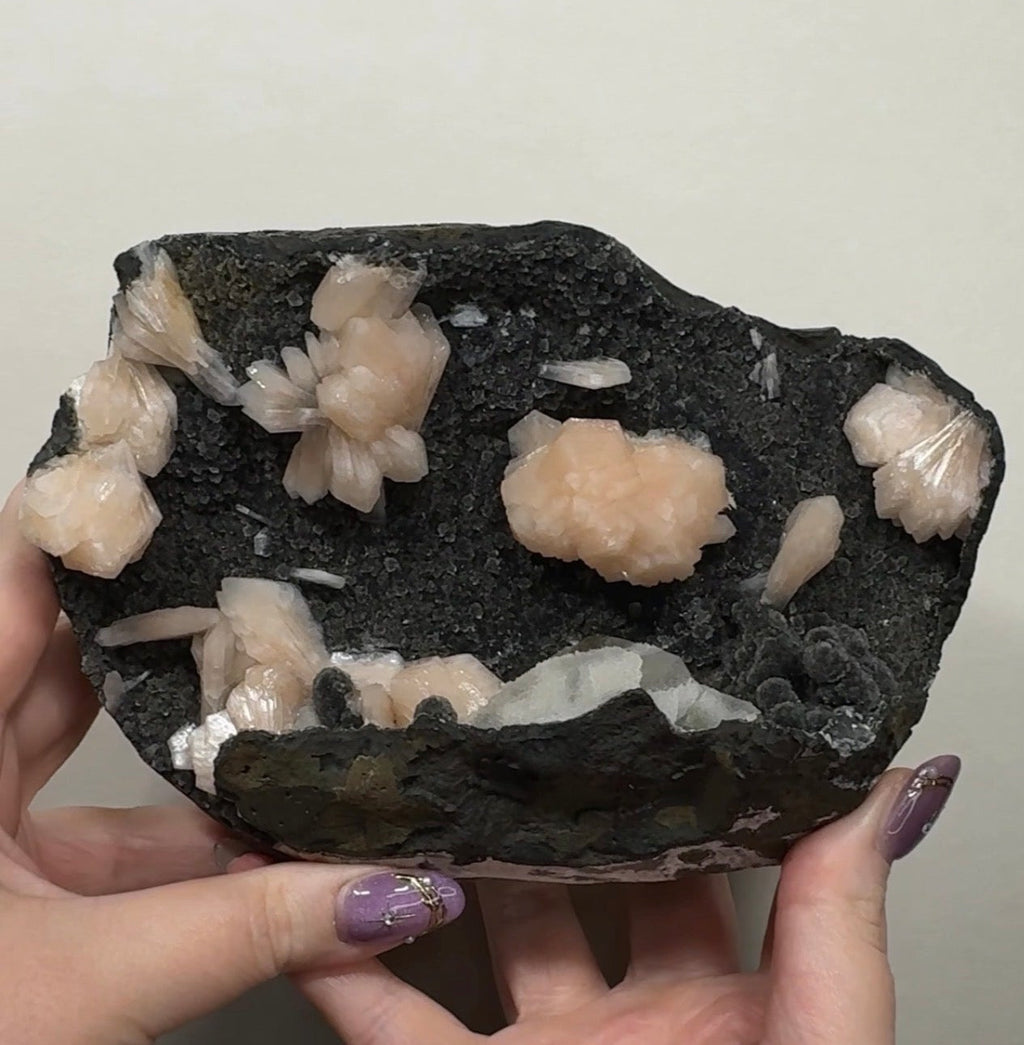 Pink Apophyllite on Black Chalcedony