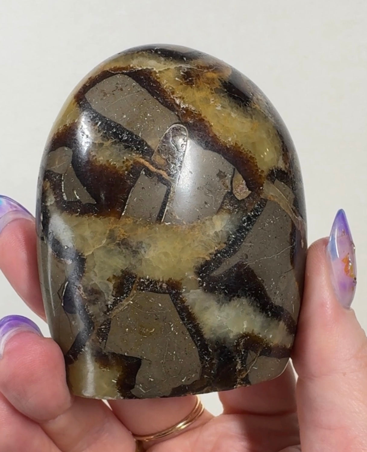 Septarian Cutbase | SEP1