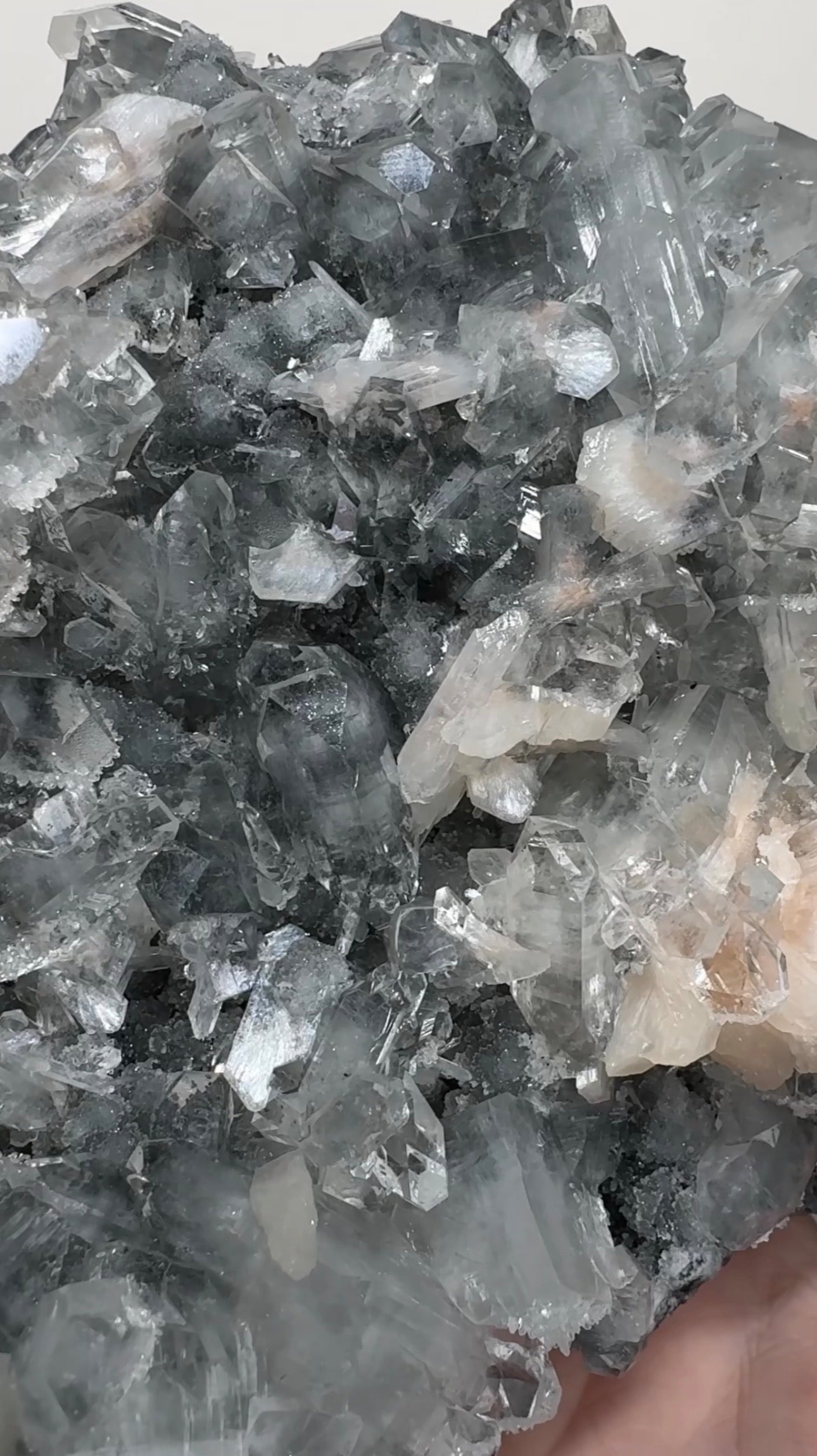 Apophyllite on Black Chalcedony | BDA