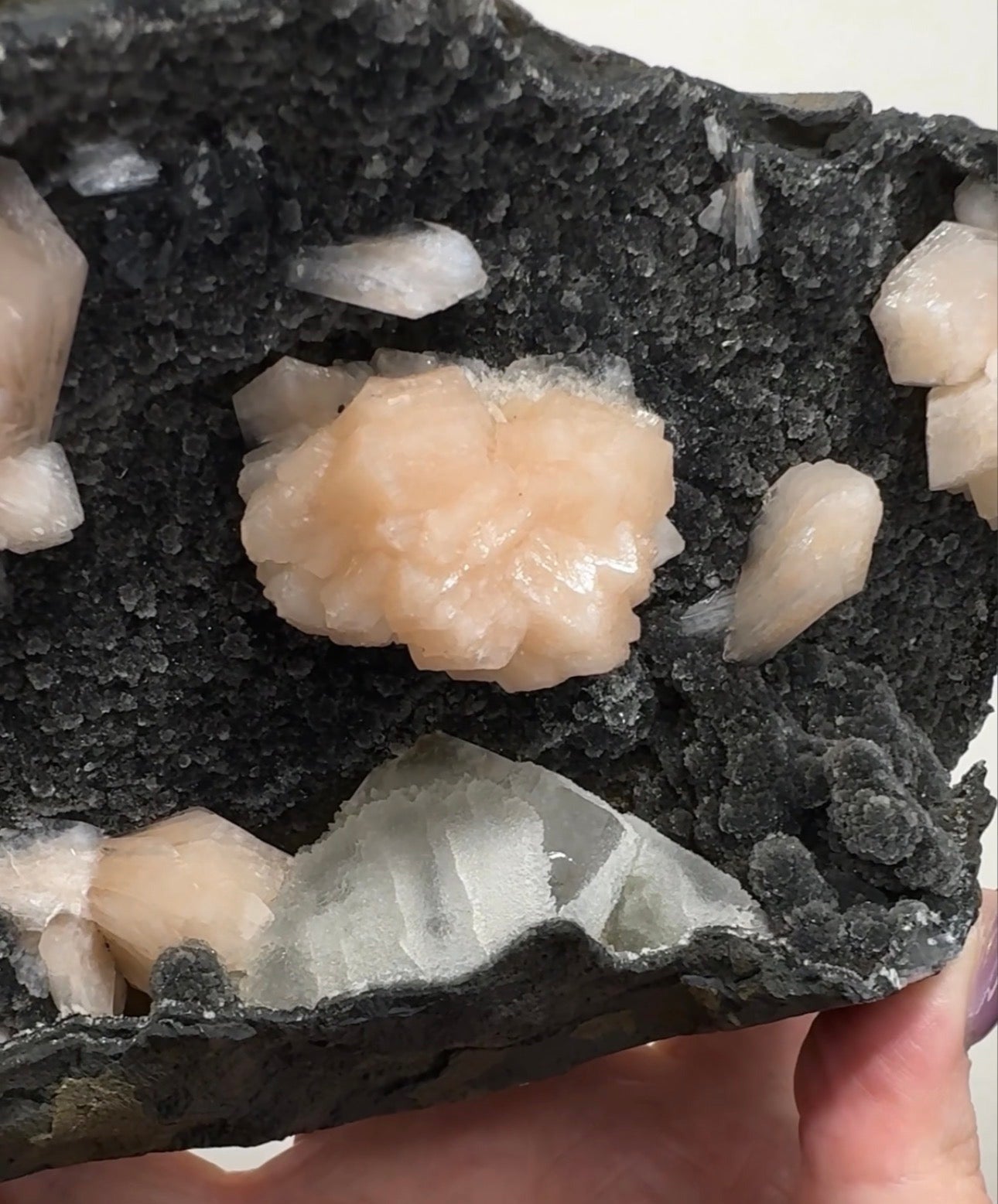 Pink Apophyllite on Black Chalcedony