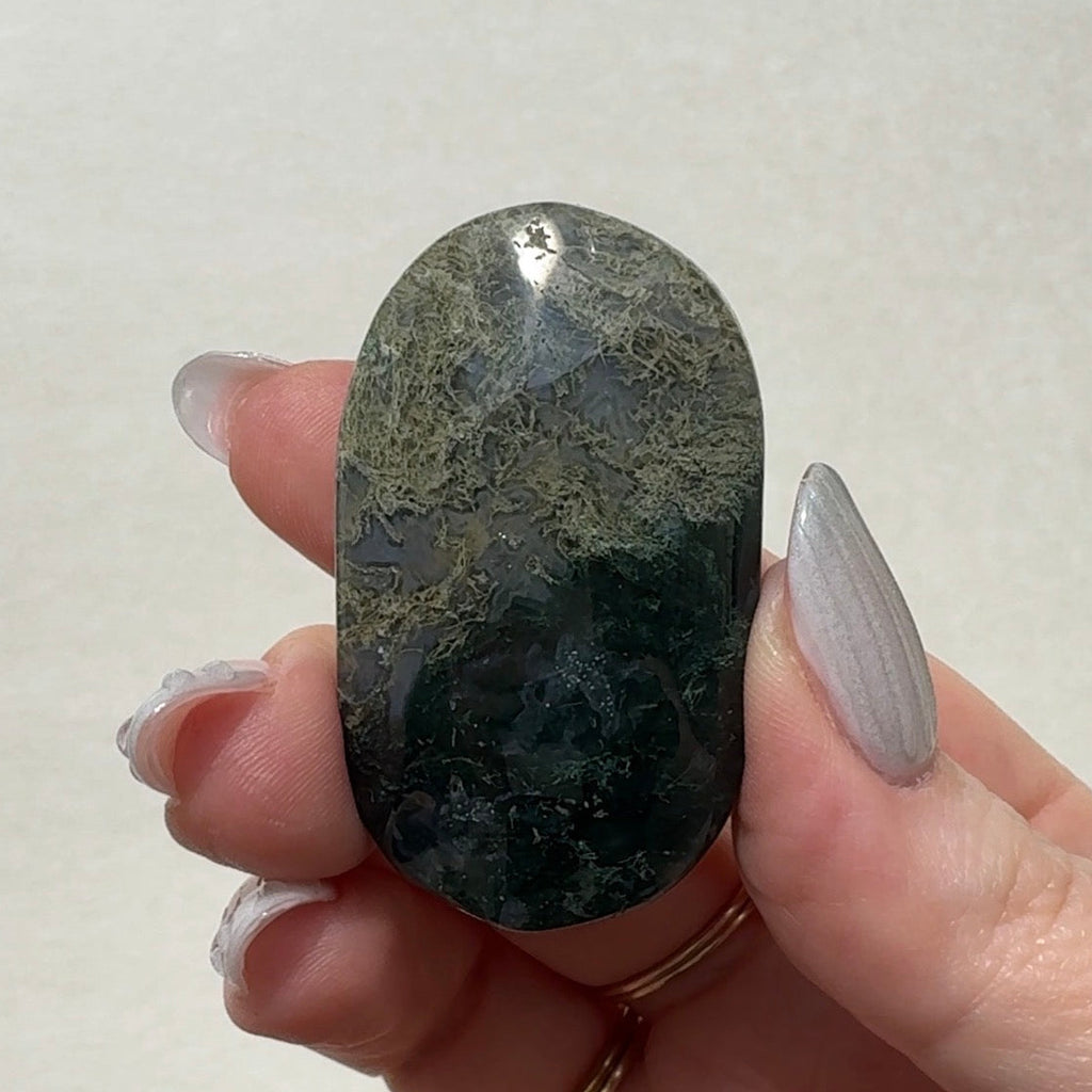 Moss Agate Palmstone | J