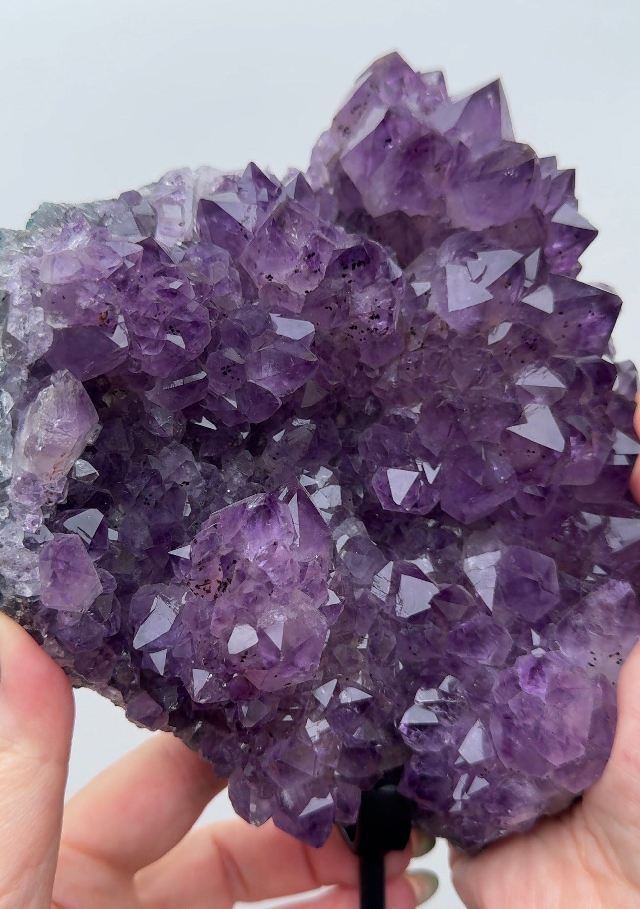XL Purple Amethyst on stand