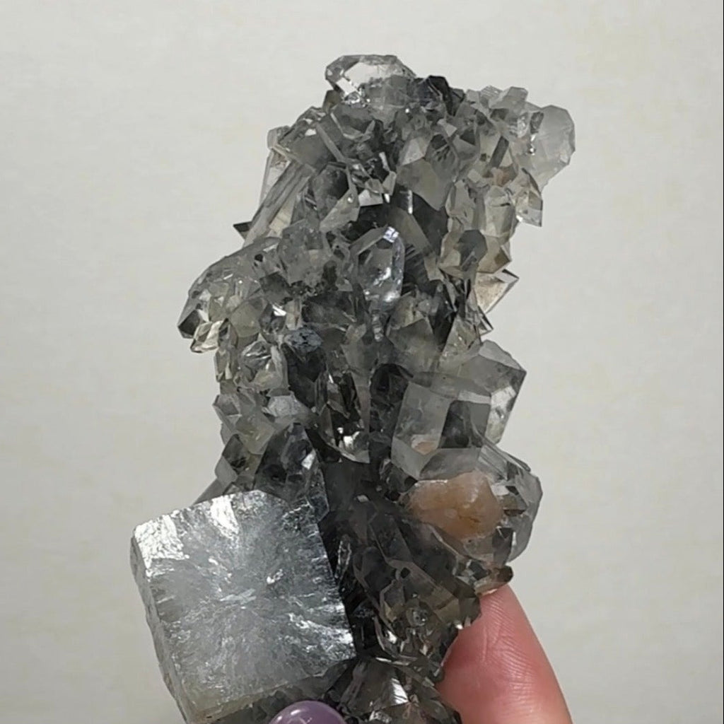 Diamond/Pink Apophyllite on Black Chalcedony| BDF