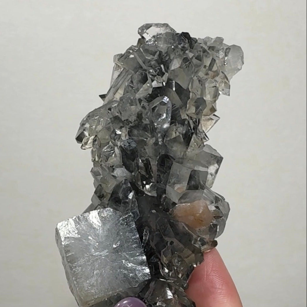 Diamond/Pink Apophyllite on Black Chalcedony| BDF