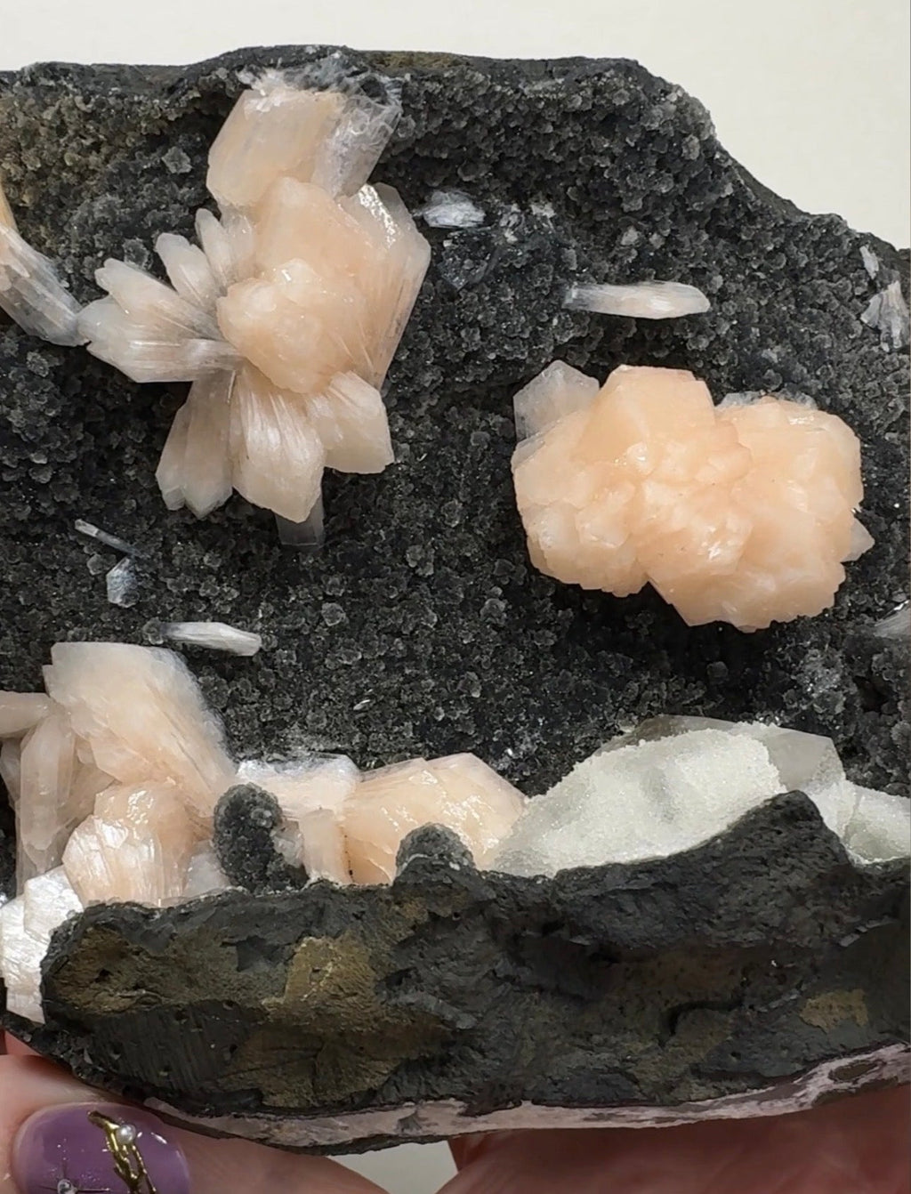 Pink Apophyllite on Black Chalcedony