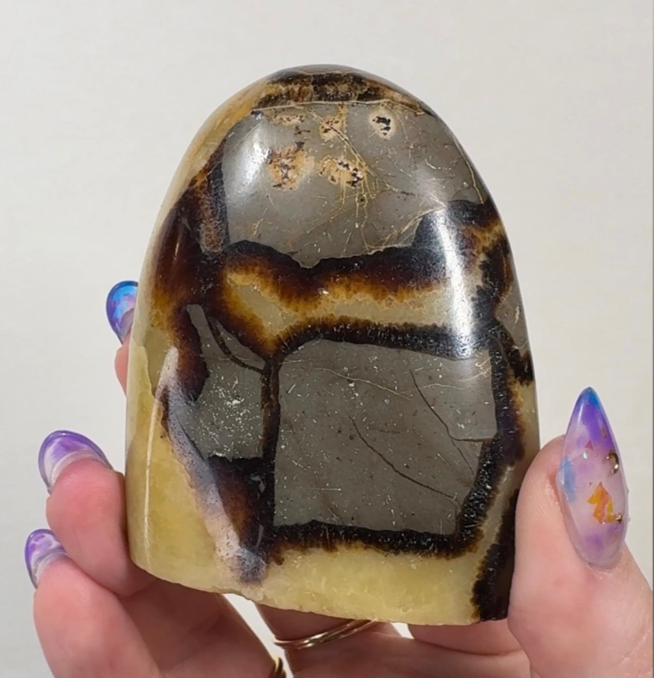 Septarian Cutbase | SEP4