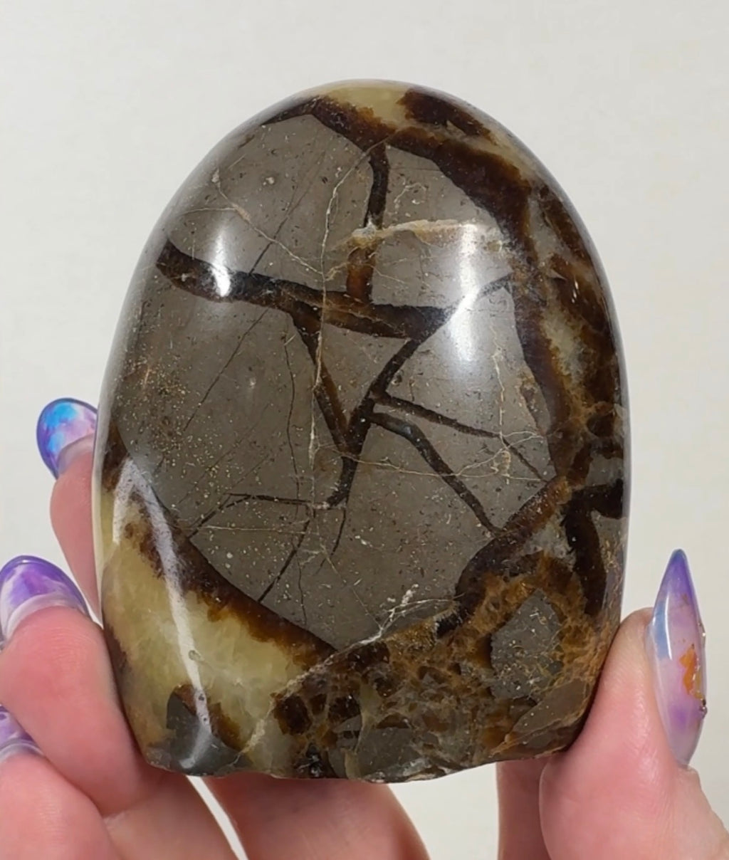 Septarian Cutbase | SEP5