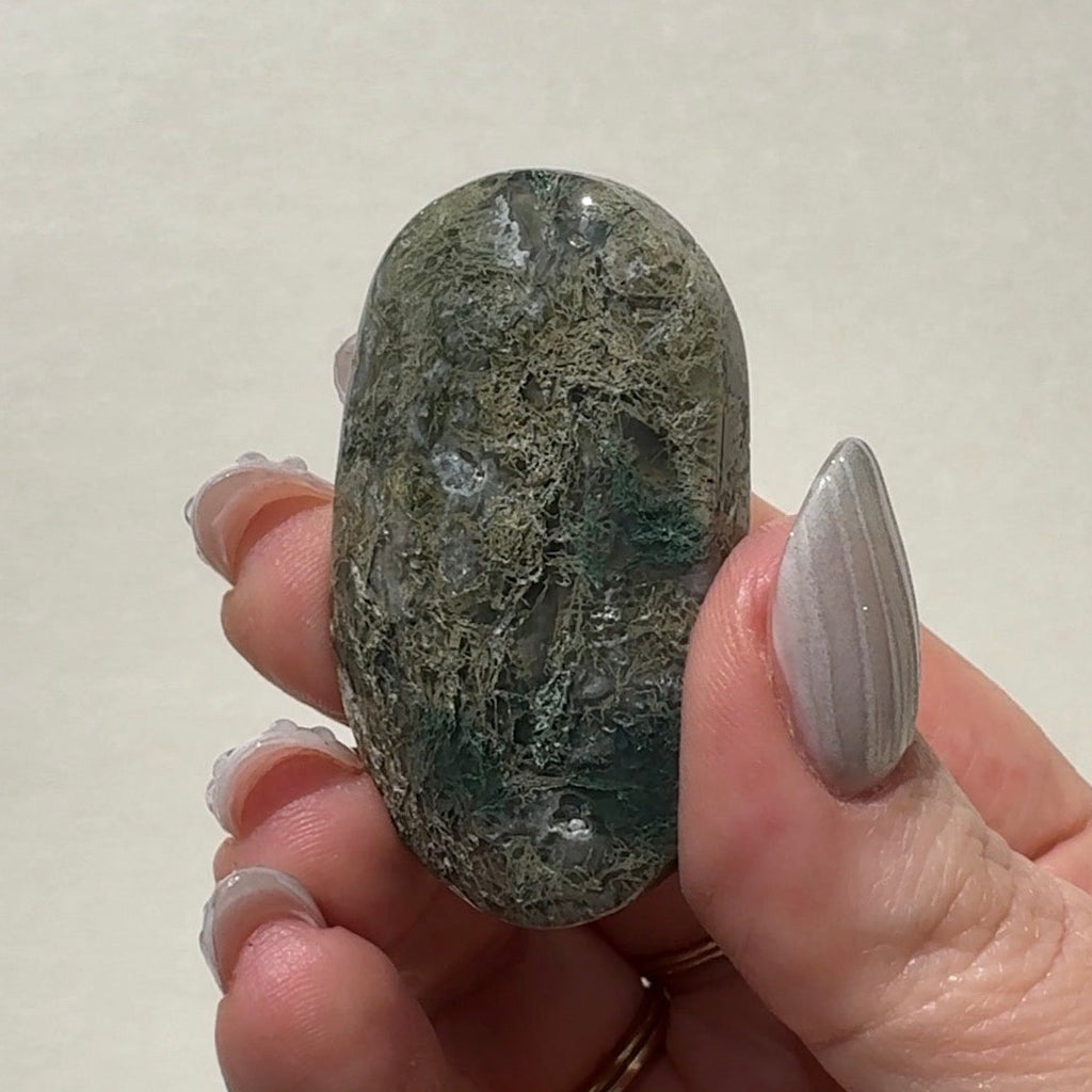 Moss Agate Palmstone | G
