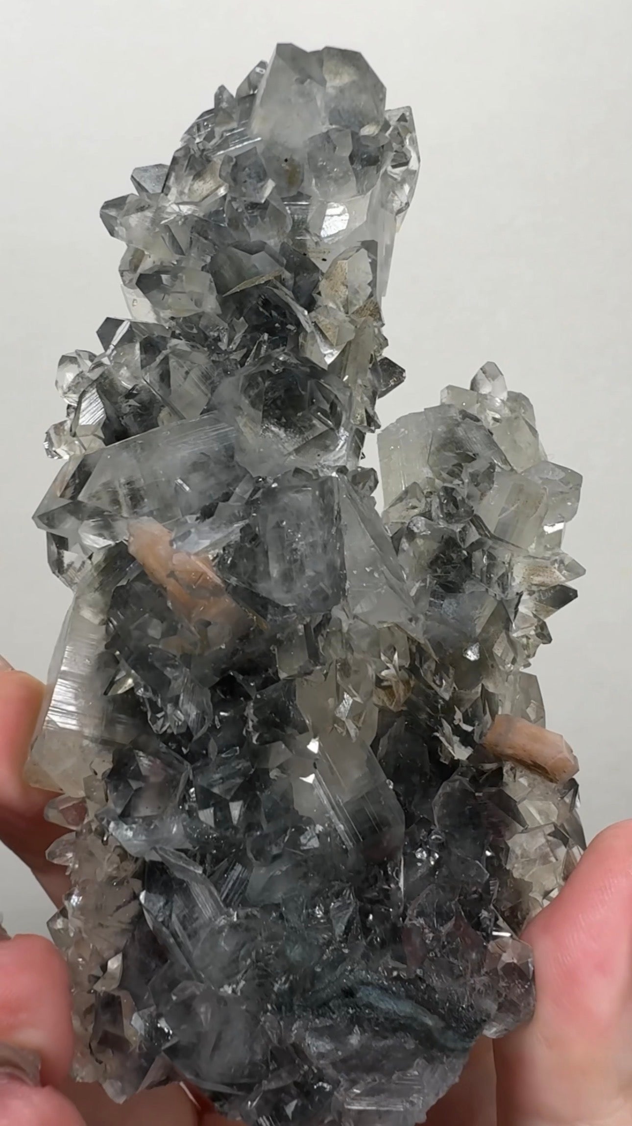 Diamond/Pink Apophyllite on Black Chalcedony| BDF