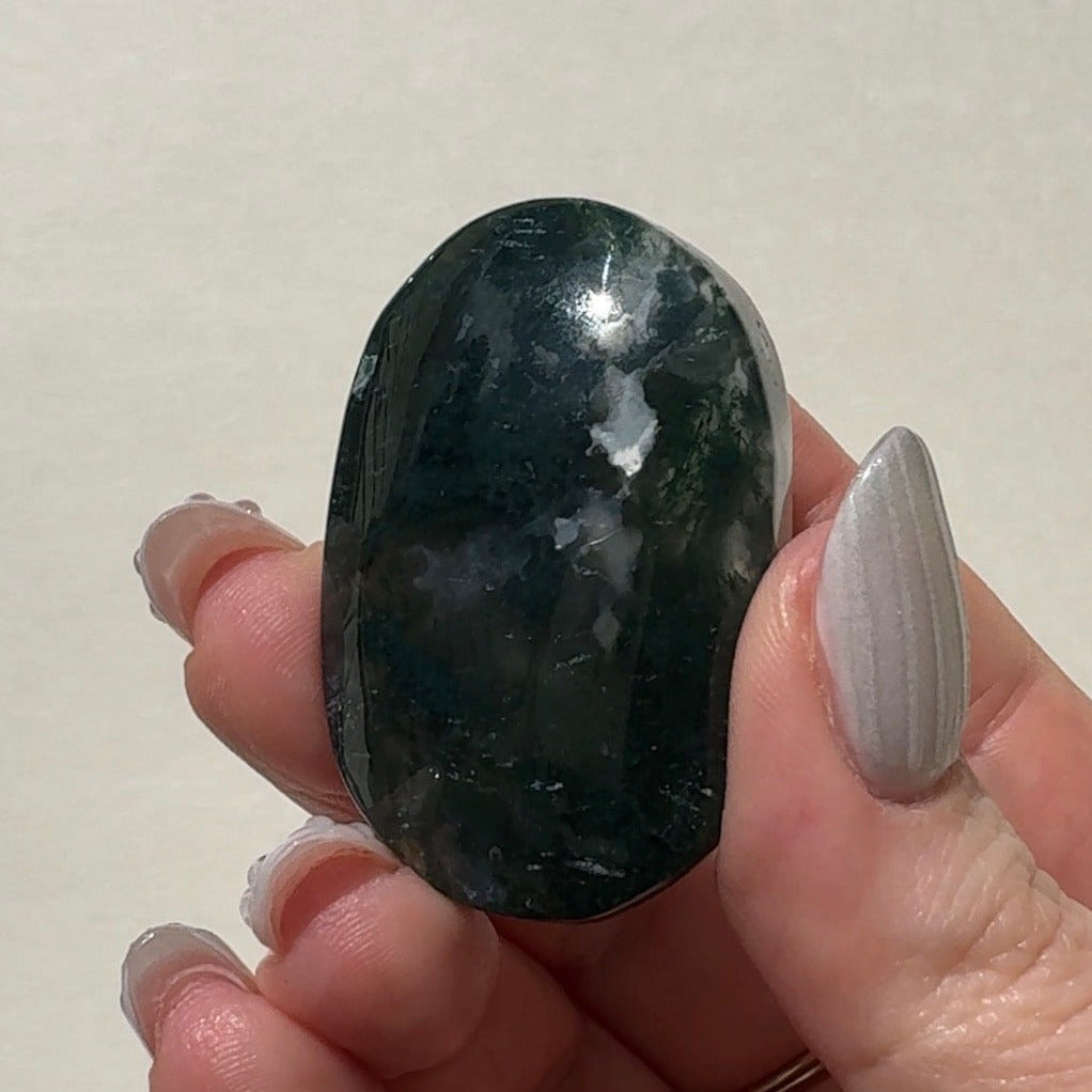 Moss Agate Palmstone | B