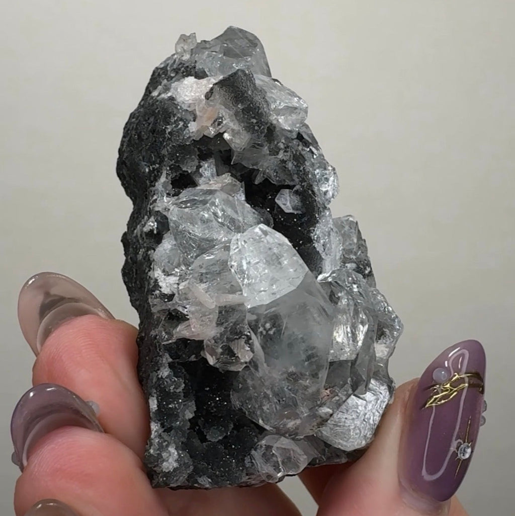 Diamond Apophyllite on Black Chalcedony
