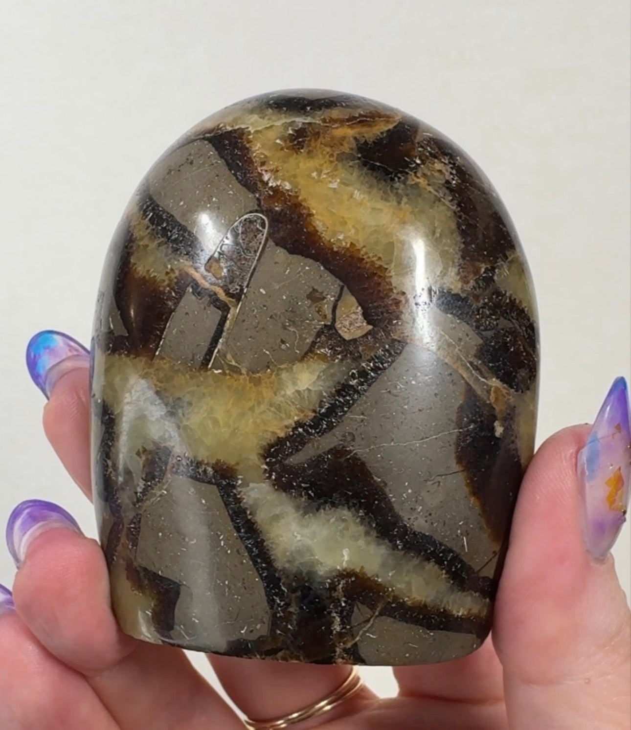 Septarian Cutbase | SEP1