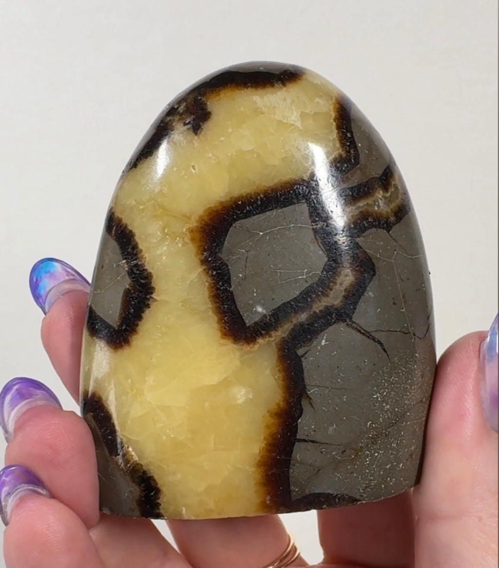 Septarian Cutbase | SEP4