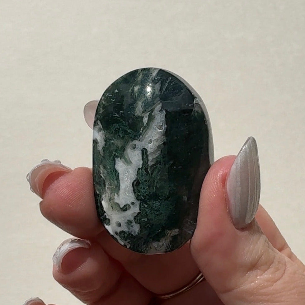 Moss Agate Palmstone | B
