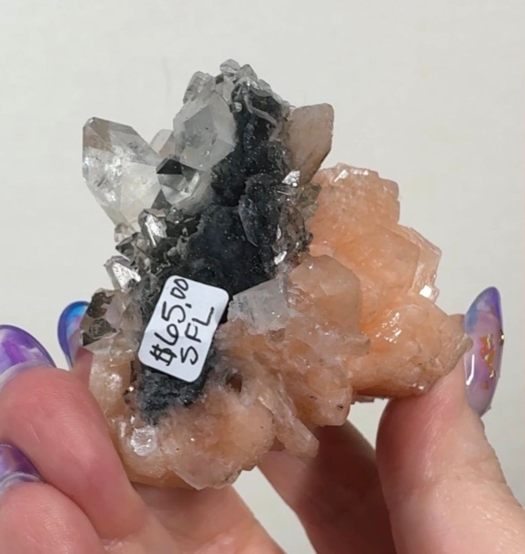 Stilbite & Diamond Apophyllite Flower on Black Chalcedony | SFL