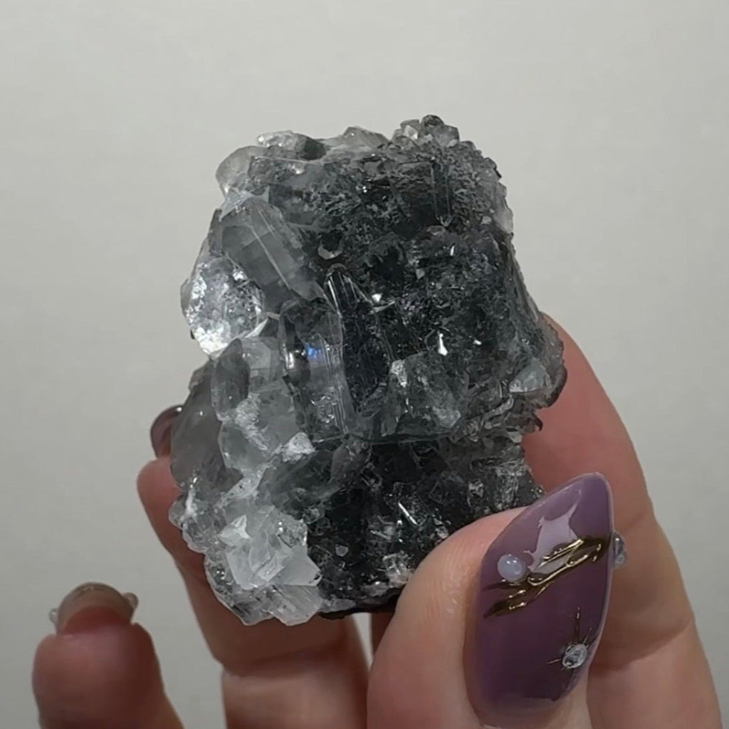 Diamond Apophyllite on Black Chalcedony