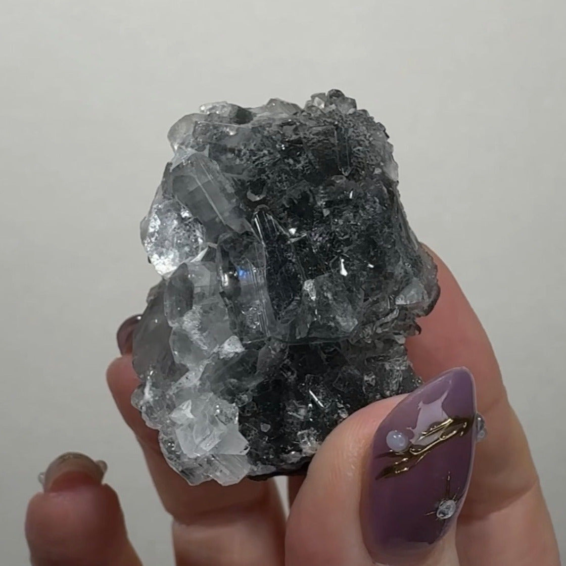 Diamond Apophyllite on Black Chalcedony