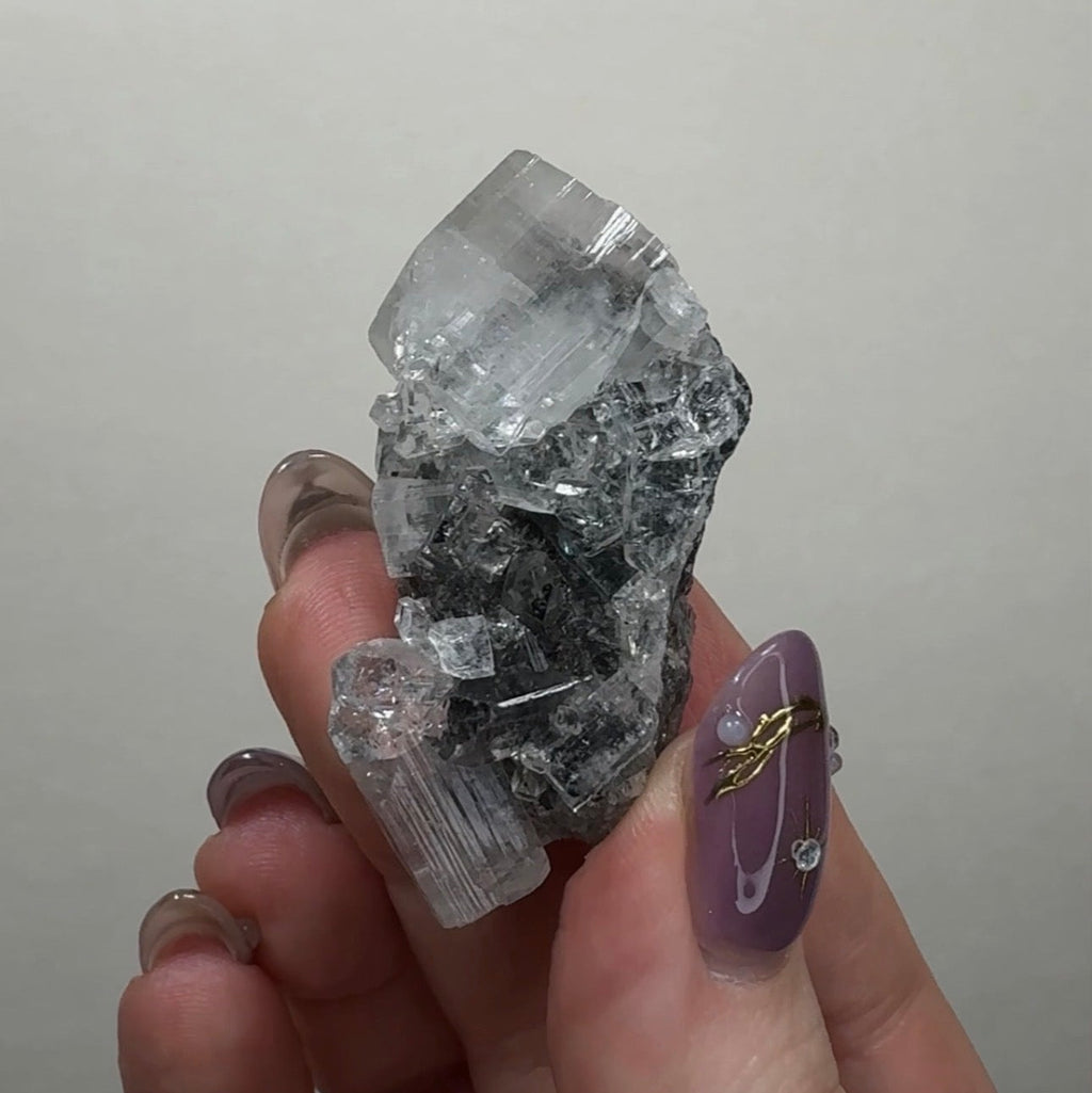 Diamond Apophyllite on Black Chalcedony