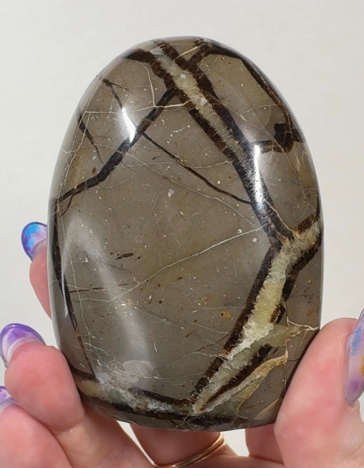 Septarian Cutbase | SEP