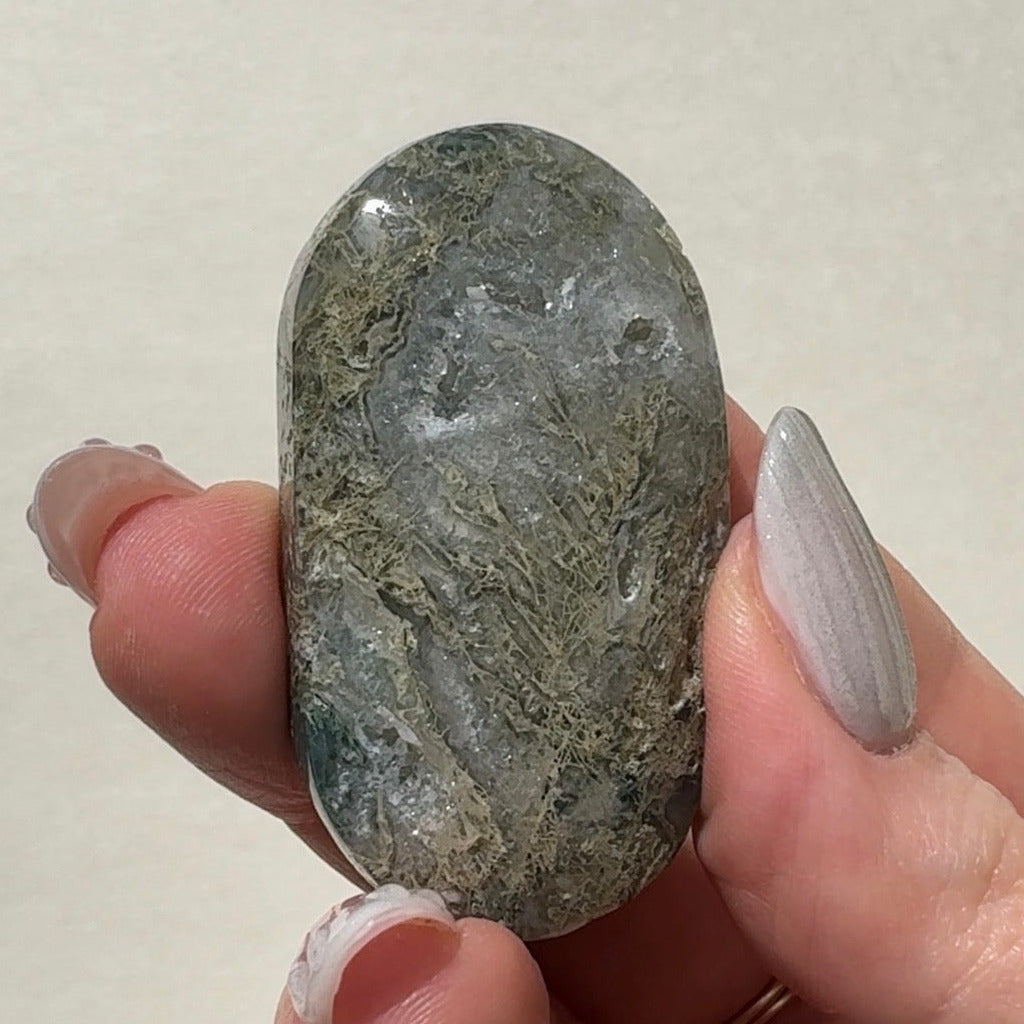 Moss Agate Palmstone | G