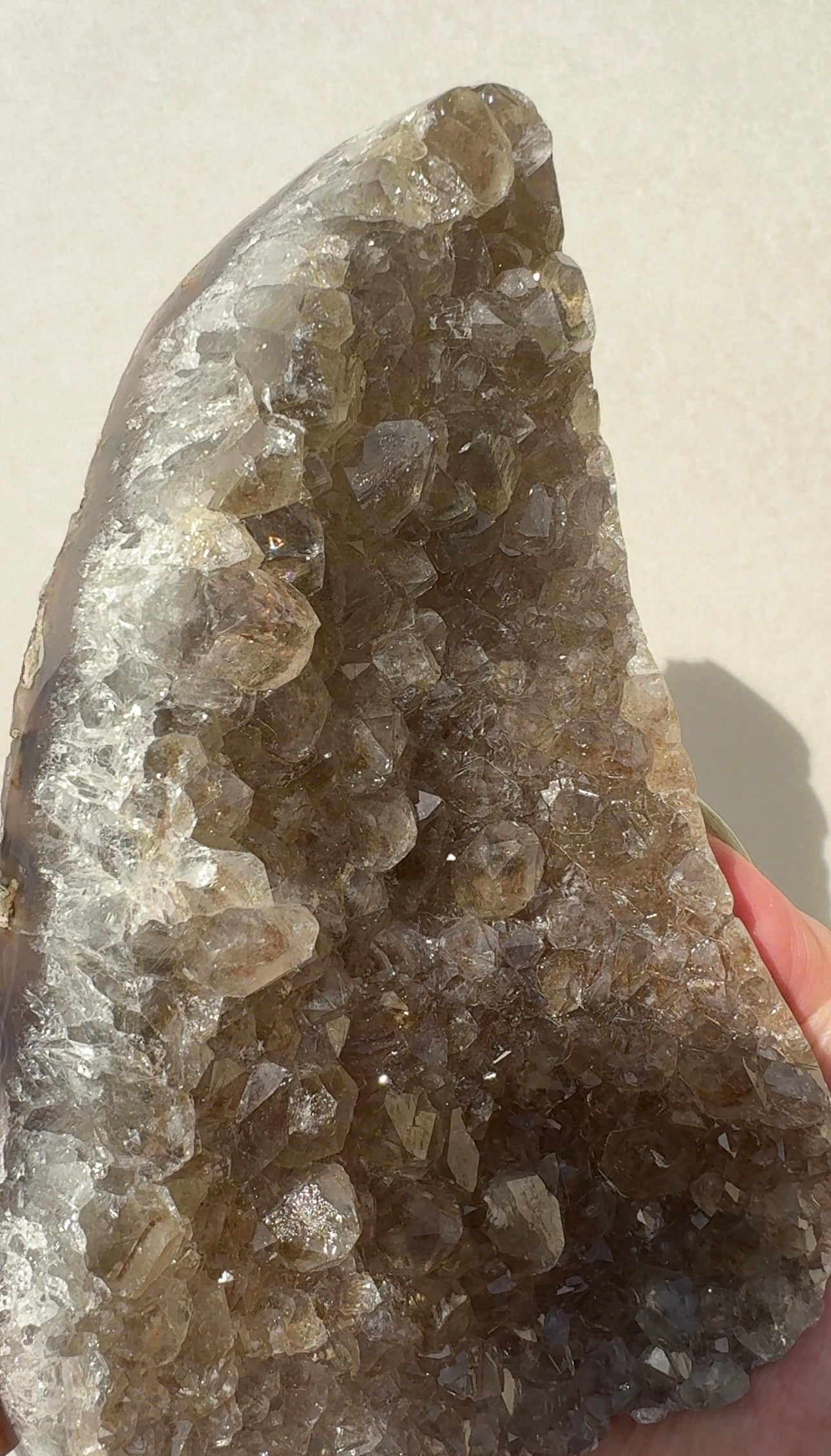 Green Prasiolite Freeform