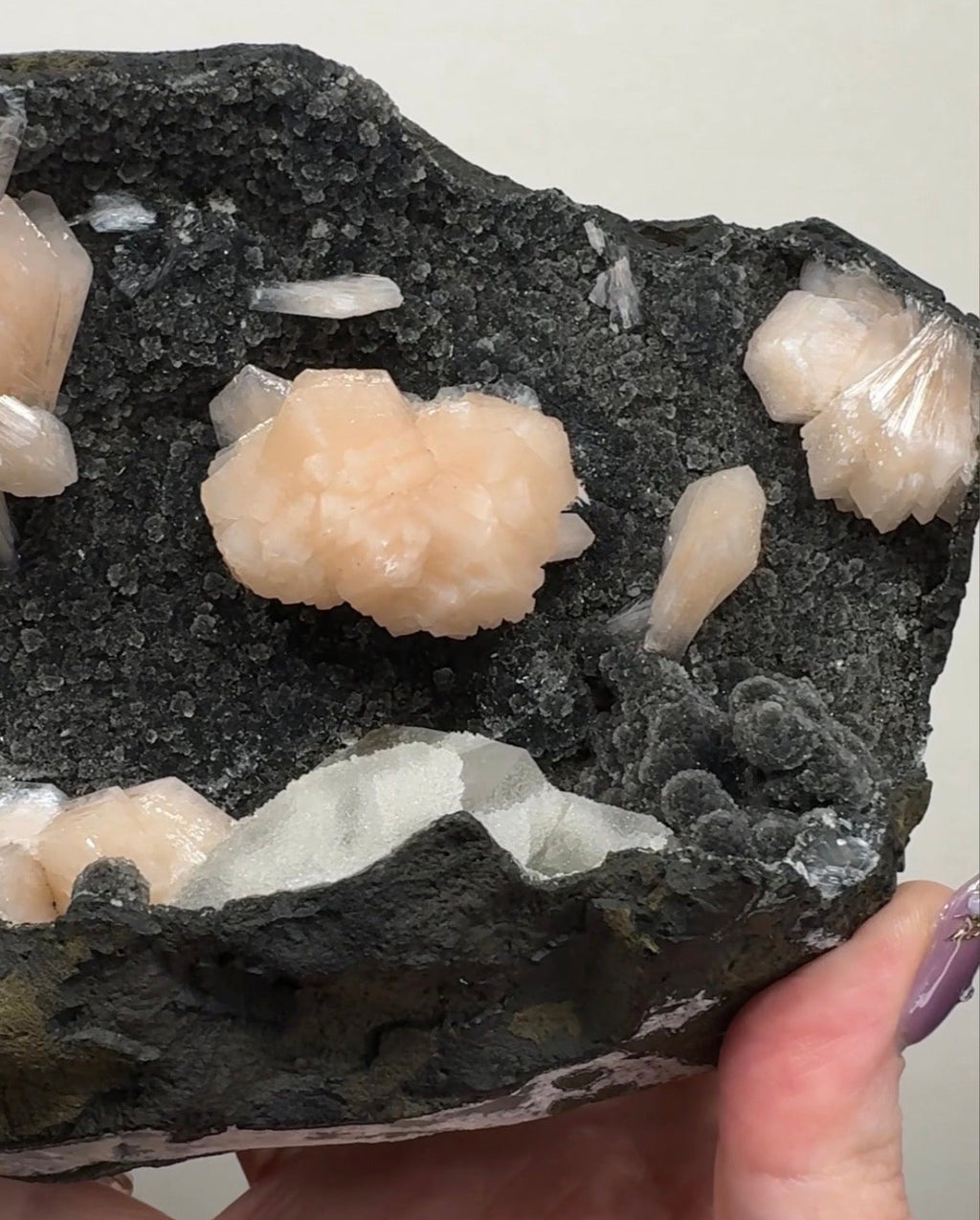 Pink Apophyllite on Black Chalcedony