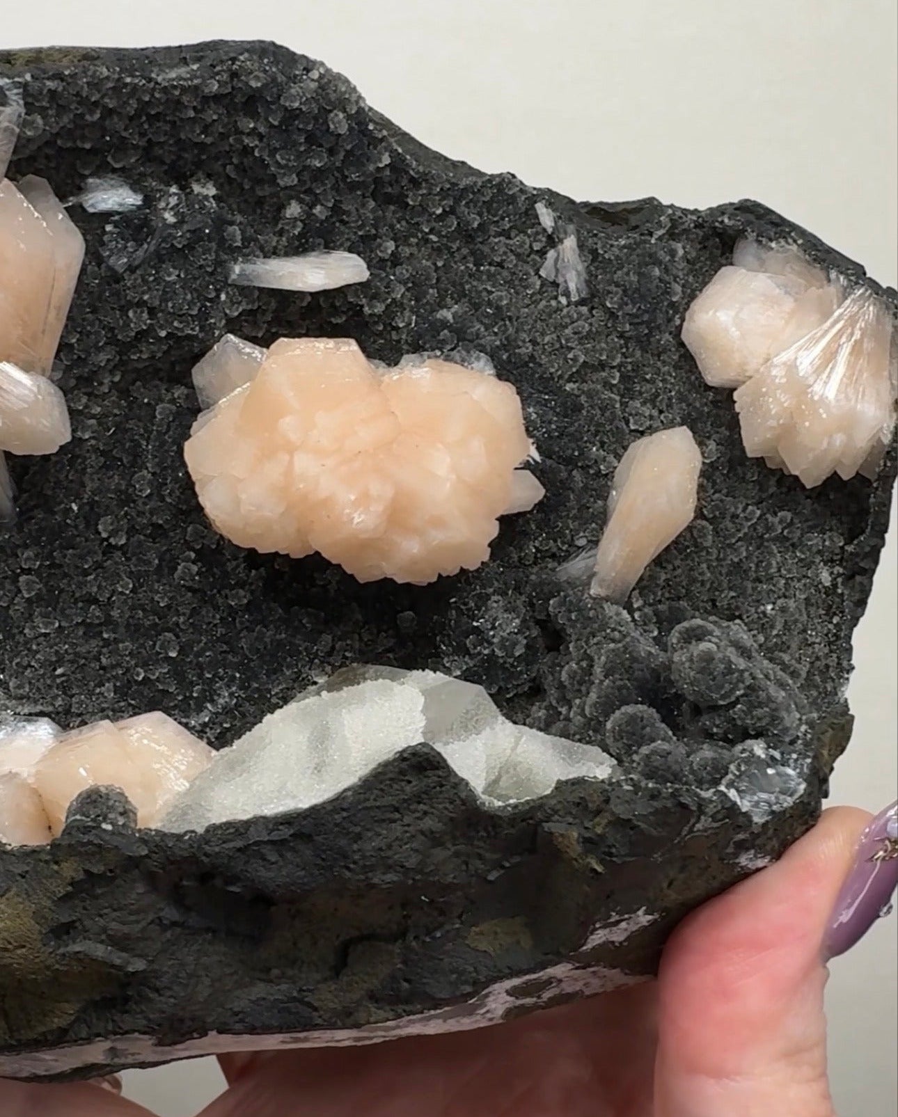 Pink Apophyllite on Black Chalcedony