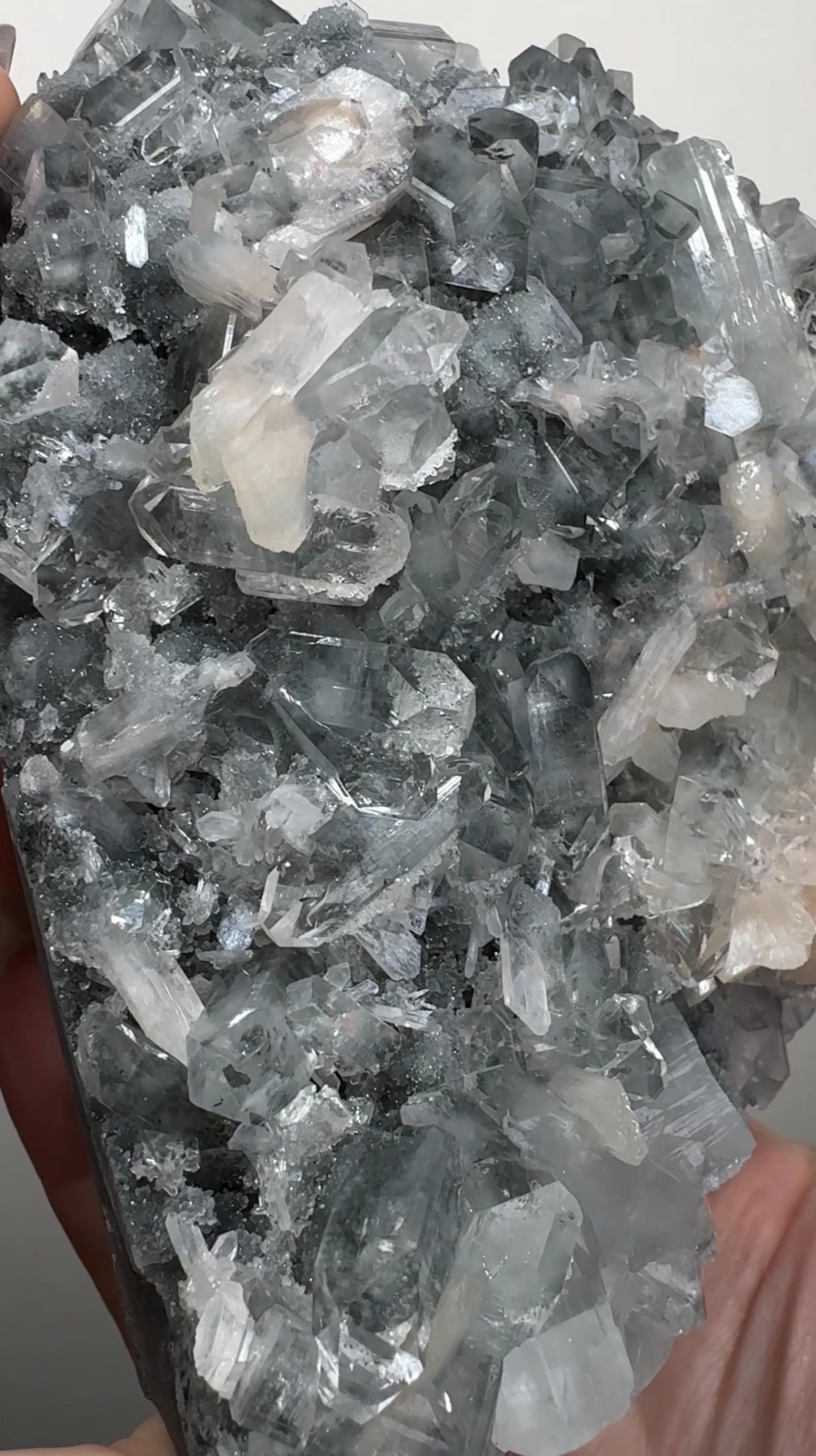 Apophyllite on Black Chalcedony | BDA