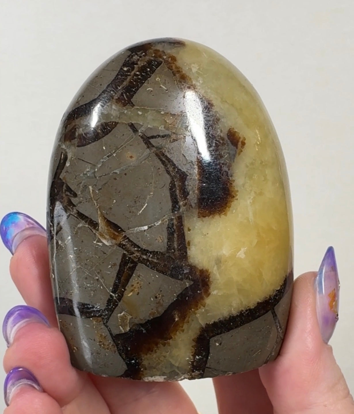 Septarian Cutbase | SEP5